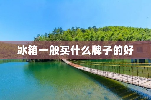 冰箱一般买什么牌子的好