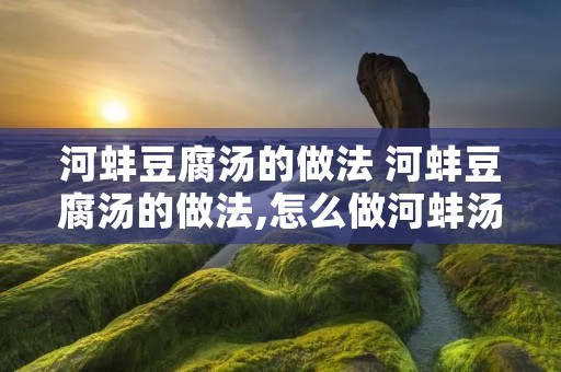 河蚌豆腐汤的做法 河蚌豆腐汤的做法,怎么做河蚌汤