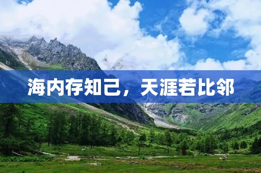 海内存知己,天涯若比邻