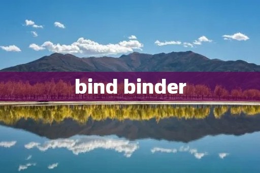 bind binder