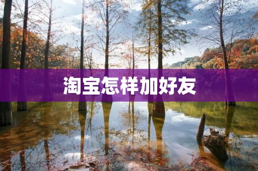 淘宝怎样加好友:详细步骤与注意事项