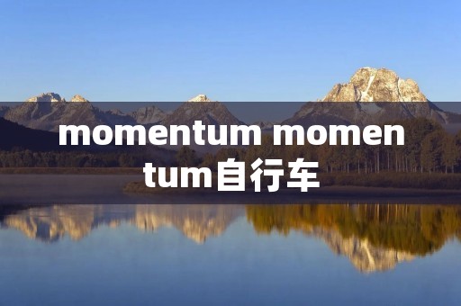 momentum momentum自行车