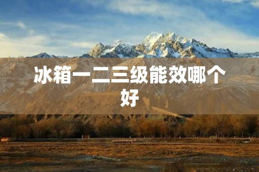 冰箱一二三级能效哪个好 冰箱一二三级能效哪个好