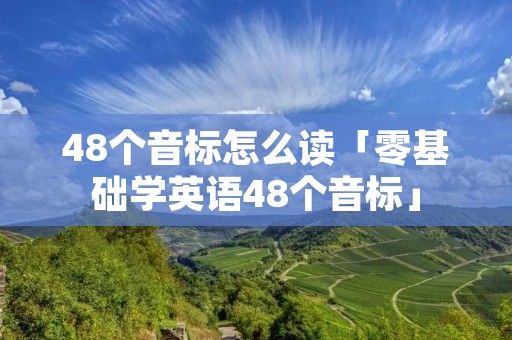 48个音标怎么读「零基础学英语48个音标」