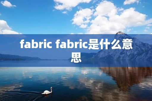 fabric fabric是什么意思