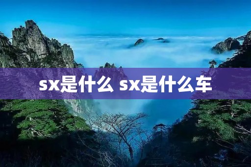 sx是什么 sx是什么车