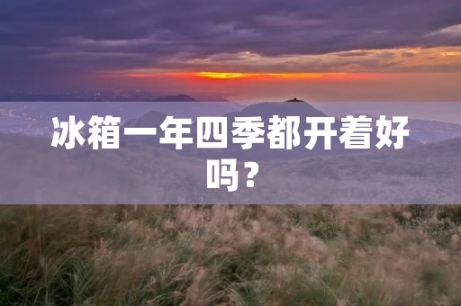 冰箱一年四季都开着好吗? 冰箱一年四季都开着好吗?