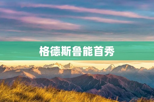 格德斯鲁能首秀：一场激动人心的新篇章