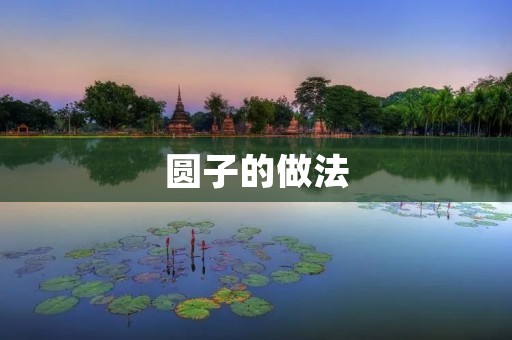 圆子的做法:美味又简单的家常小吃 圆子的做法:美味又简单的家常小吃