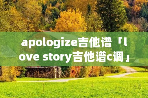 apologize吉他谱「love story吉他谱c调」