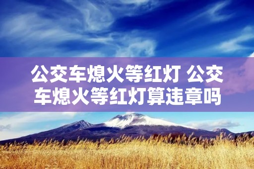 公交车熄火等红灯 公交车熄火等红灯算违章吗 公交车熄火等红灯 公交车熄火等红灯算违章吗