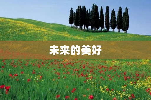未来的美好