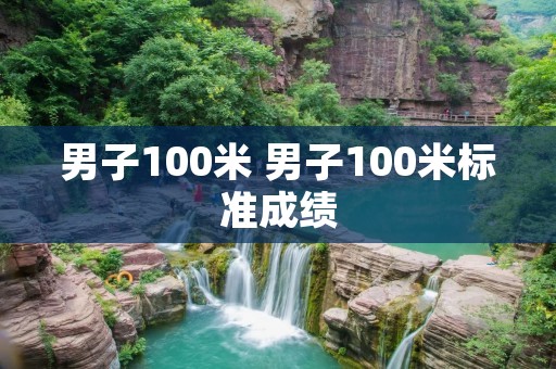 男子100米 男子100米标准成绩