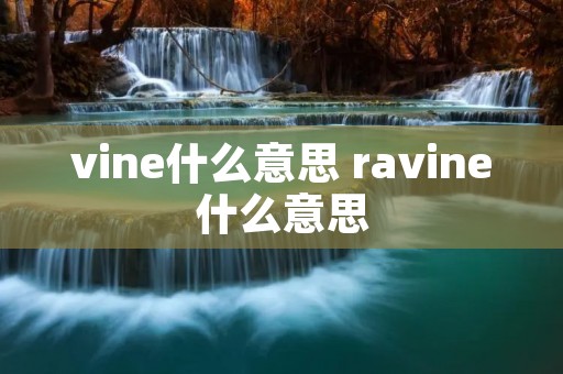 vine什么意思 ravine什么意思