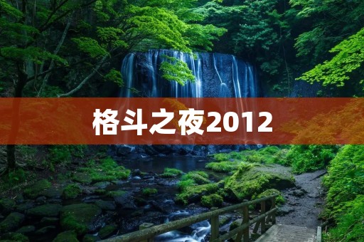 格斗之夜2012:**碰撞的终极格斗盛宴 格斗之夜2012:**碰撞的终极格斗盛宴