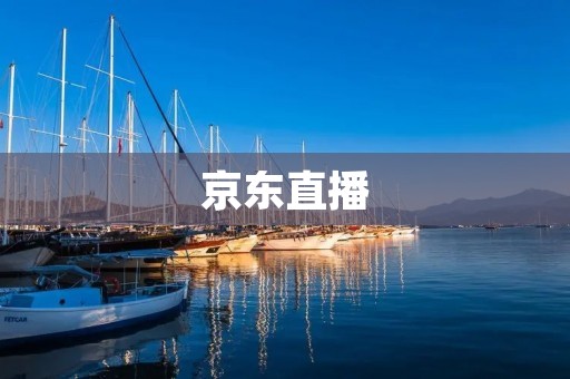 京东直播:如何观看并享受购物直播的乐趣 京东直播:如何观看并享受购物直播的乐趣