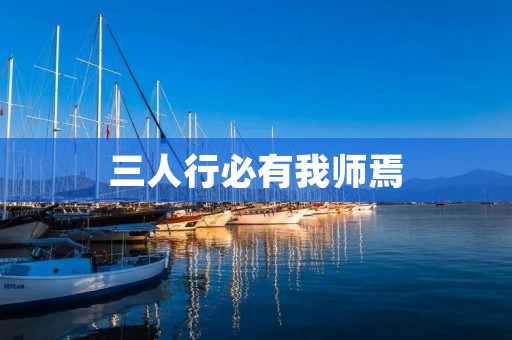 三人行必有我师焉:分享与成长的奇妙旅程