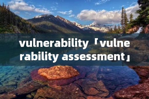 vulnerability「vulnerability assessment」