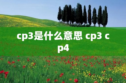 cp3是什么意思 cp3 cp4