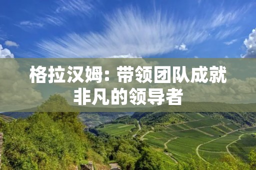 格拉汉姆: 带领团队成就非凡的领导者
