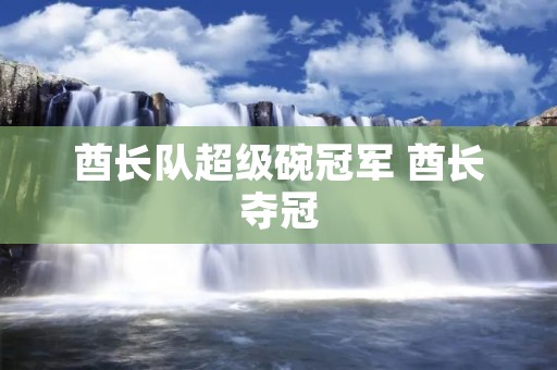 酋长队超级碗冠军 酋长夺冠 酋长队超级碗冠军 酋长夺冠
