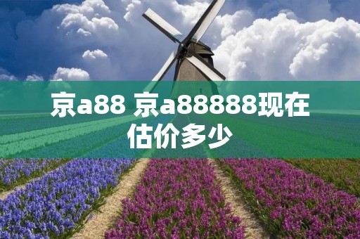 京a88 京a88888现在估价多少