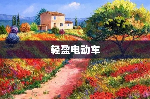 轻盈电动车:轻松驰骋城市道路的新选择