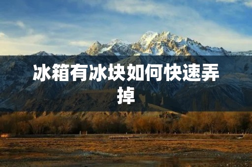 冰箱有冰块如何快速弄掉