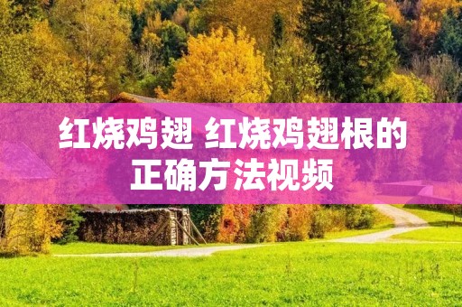 红烧鸡翅 红烧鸡翅根的正确方法视频