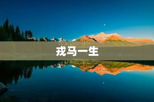 戎马一生:战场上的英勇士气与牺牲精神 戎马一生:战场上的英勇士气与牺牲精神