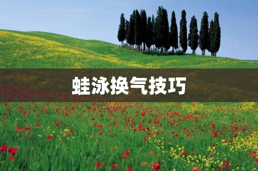 蛙泳换气技巧:提高游泳效率的关键