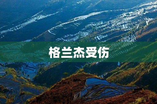 格兰杰受伤:一次意外引发的身体挑战 格兰杰受伤:一次意外引发的身体挑战