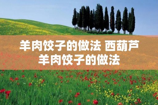 羊肉饺子的做法 西葫芦羊肉饺子的做法