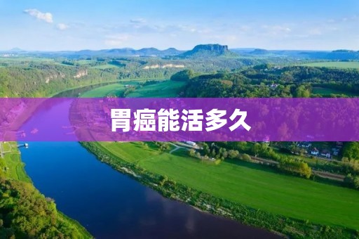 胃癌能活多久：了解胃癌预后及生存期的相关因素