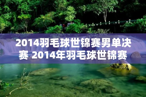 2014羽毛球世锦赛男单决赛 2014年羽毛球世锦赛男单决赛