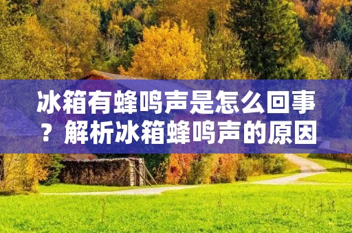冰箱有蜂鸣声是怎么回事？解析冰箱蜂鸣声的原因及解决方法