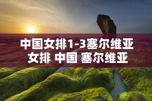 中国女排1-3塞尔维亚 女排 中国 塞尔维亚 中国女排1-3塞尔维亚 女排 中国 塞尔维亚