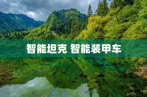 智能坦克 智能装甲车 智能坦克 智能装甲车