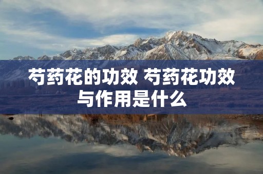 芍药花的功效 芍药花功效与作用是什么