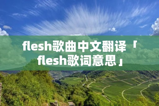 flesh歌曲中文翻译「flesh歌词意思」