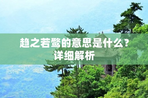 趋之若鹜的意思是什么?详细解析
