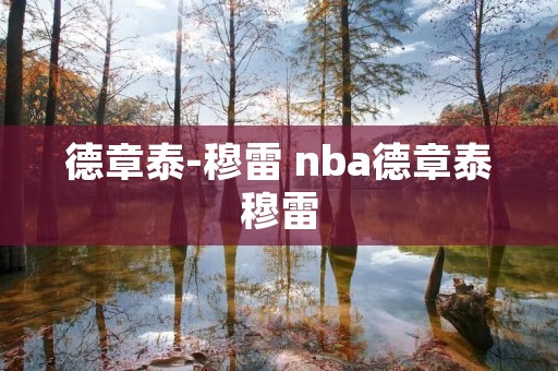 德章泰-穆雷 nba德章泰穆雷
