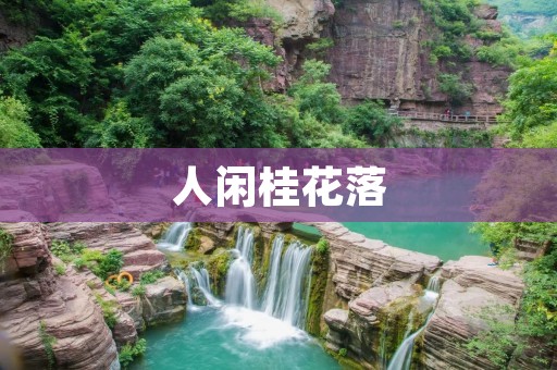 人闲桂花落:秋日的美丽与思考