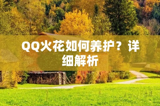QQ火花如何养护?详细解析