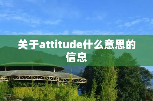 关于attitude什么意思的信息