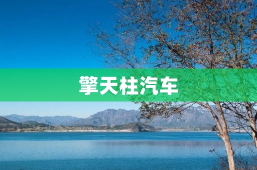 擎天柱汽车：引领汽车行业的巅峰之作