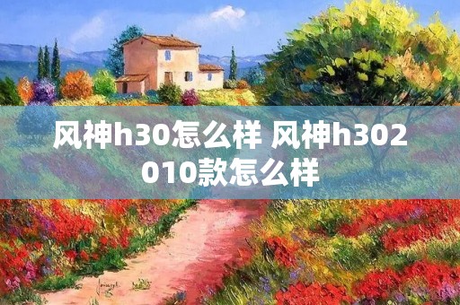 风神h30怎么样 风神h302010款怎么样