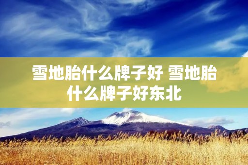 雪地胎什么牌子好 雪地胎什么牌子好东北