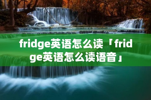 fridge英语怎么读「fridge英语怎么读语音」