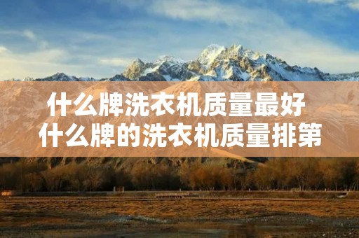 什么牌洗衣机质量最好 什么牌的洗衣机质量排第一